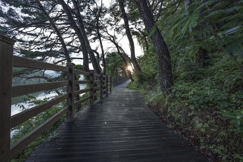 Outdoor Mindful Walks