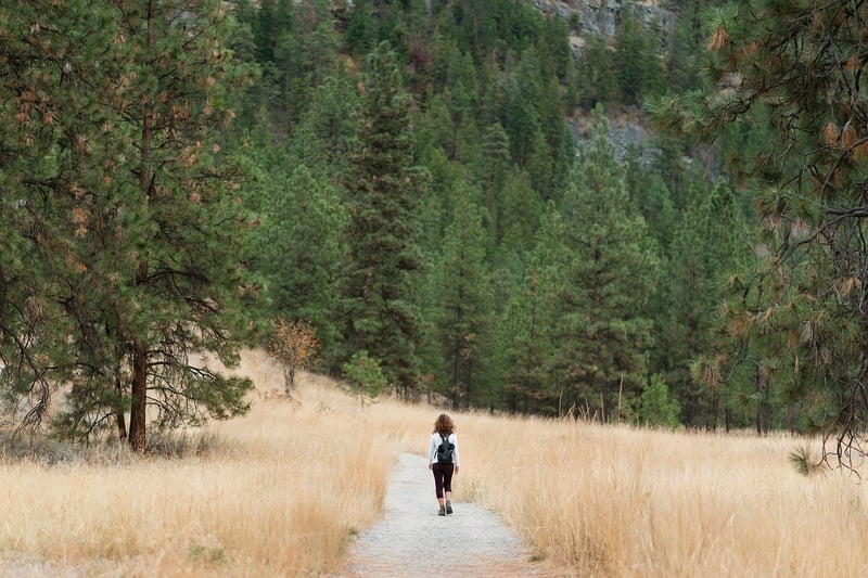 Outdoor Mindful Walks